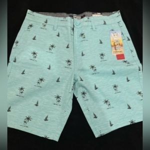 NWT Company Eighty One Stretch Palm Tree 30”